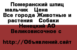 Померанский шпиц мальчик › Цена ­ 30 000 - Все города Животные и растения » Собаки   . Ненецкий АО,Великовисочное с.